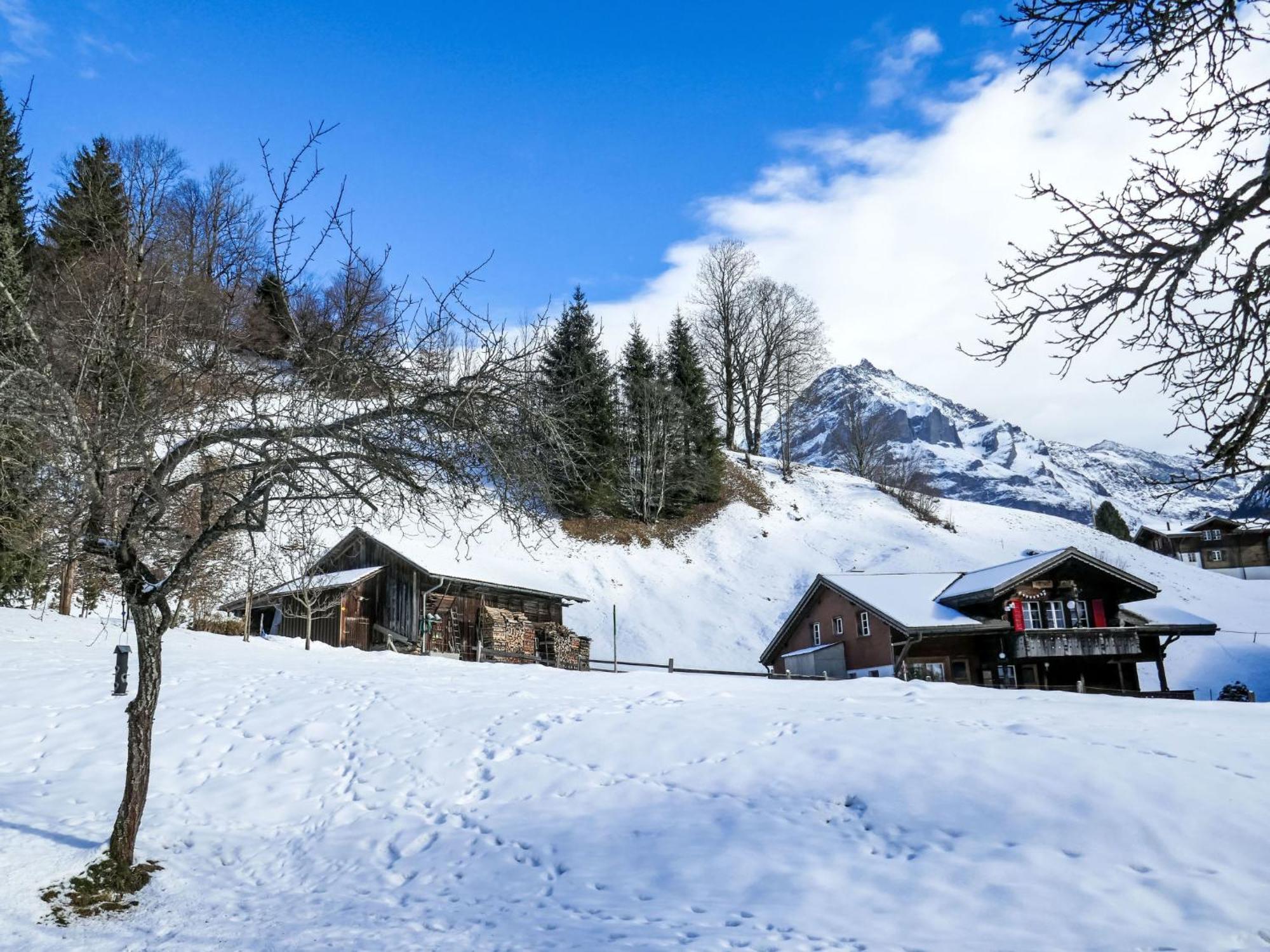 Apartment Chalet Schwendihus-6 By Interhome Grindelwald Exterior photo